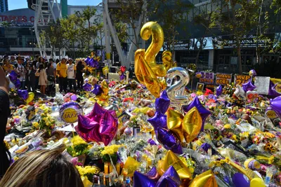 DSC_7181 (Large).JPG